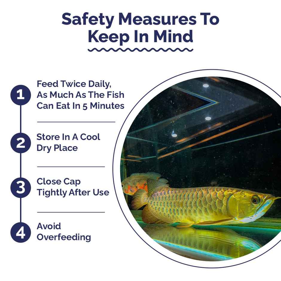 Intan Arowana Sticks Fish FOOD for Arowanas | Large Cichlids like Peacock Bass | Oscars - Small