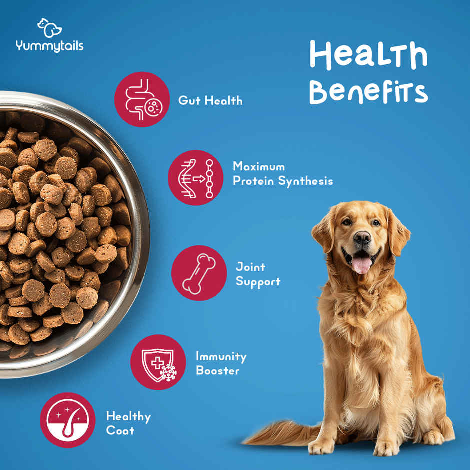 Yummytails Adult Dog Food Dry Kibble | 75% Chicken and Fish Protein Combo