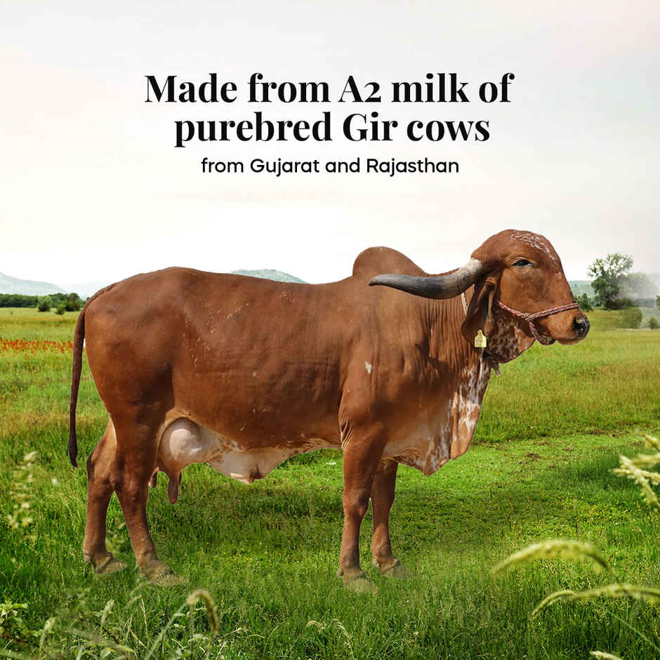Himalayan Natives A2 Gir Cow Bilona Ghee
