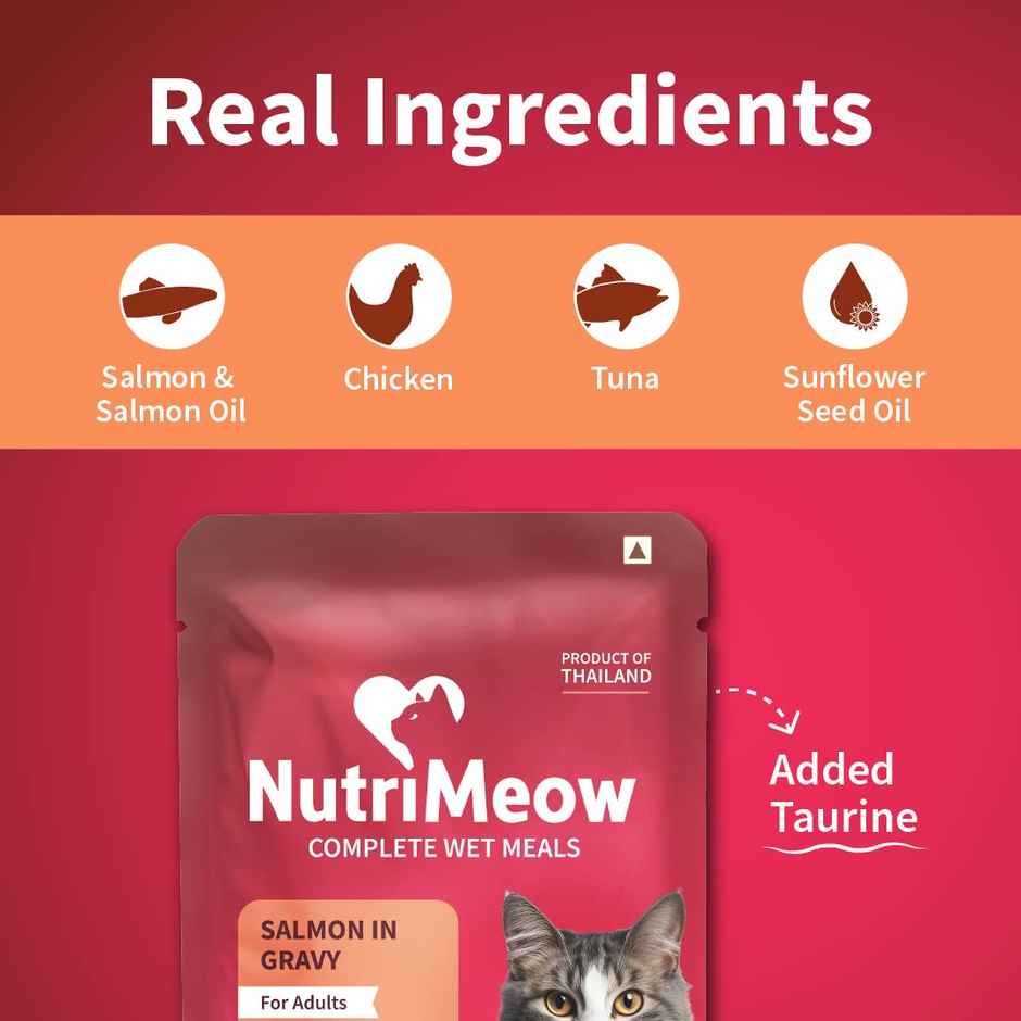 NutriMeow Salmon In Gravy Adult Cat Wet Food