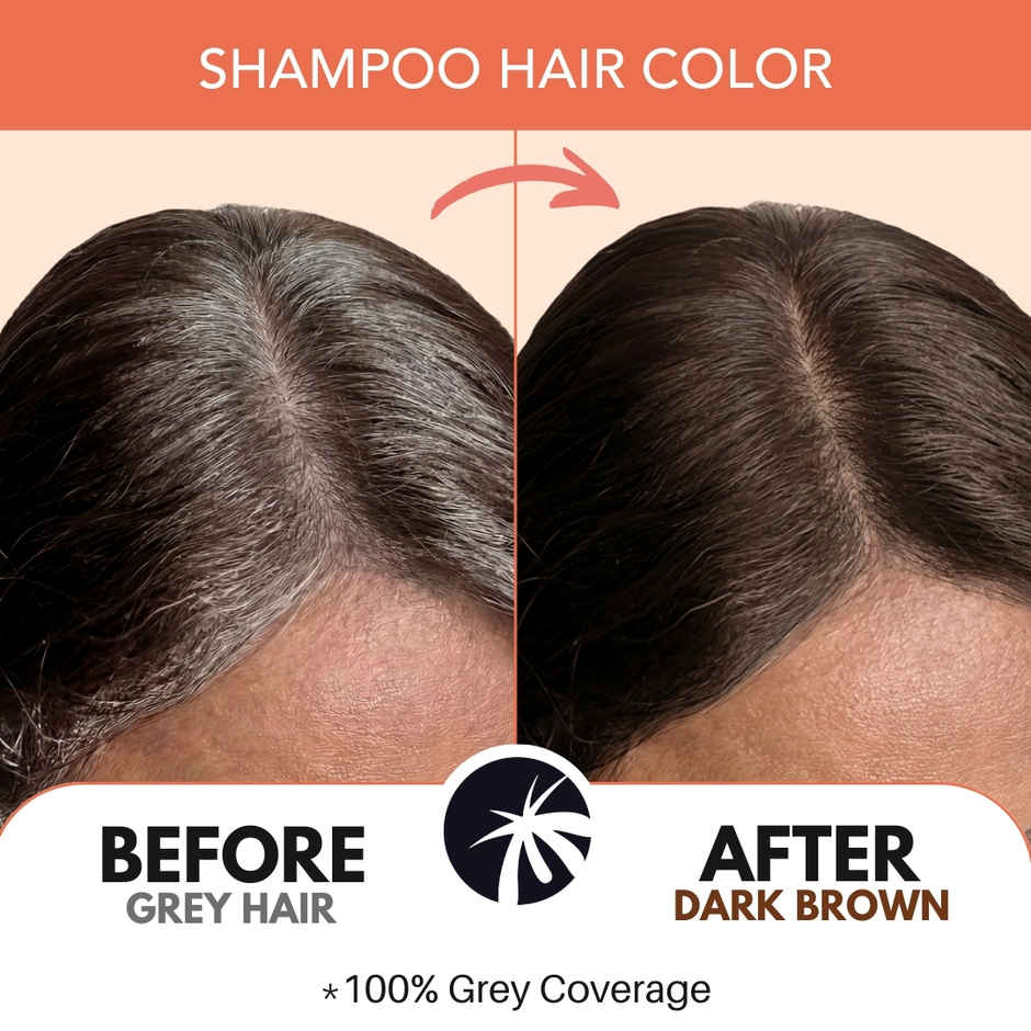Paradyes Coconut Fix Shampoo No Ammonia Hair Color | Dark Brown 3.0