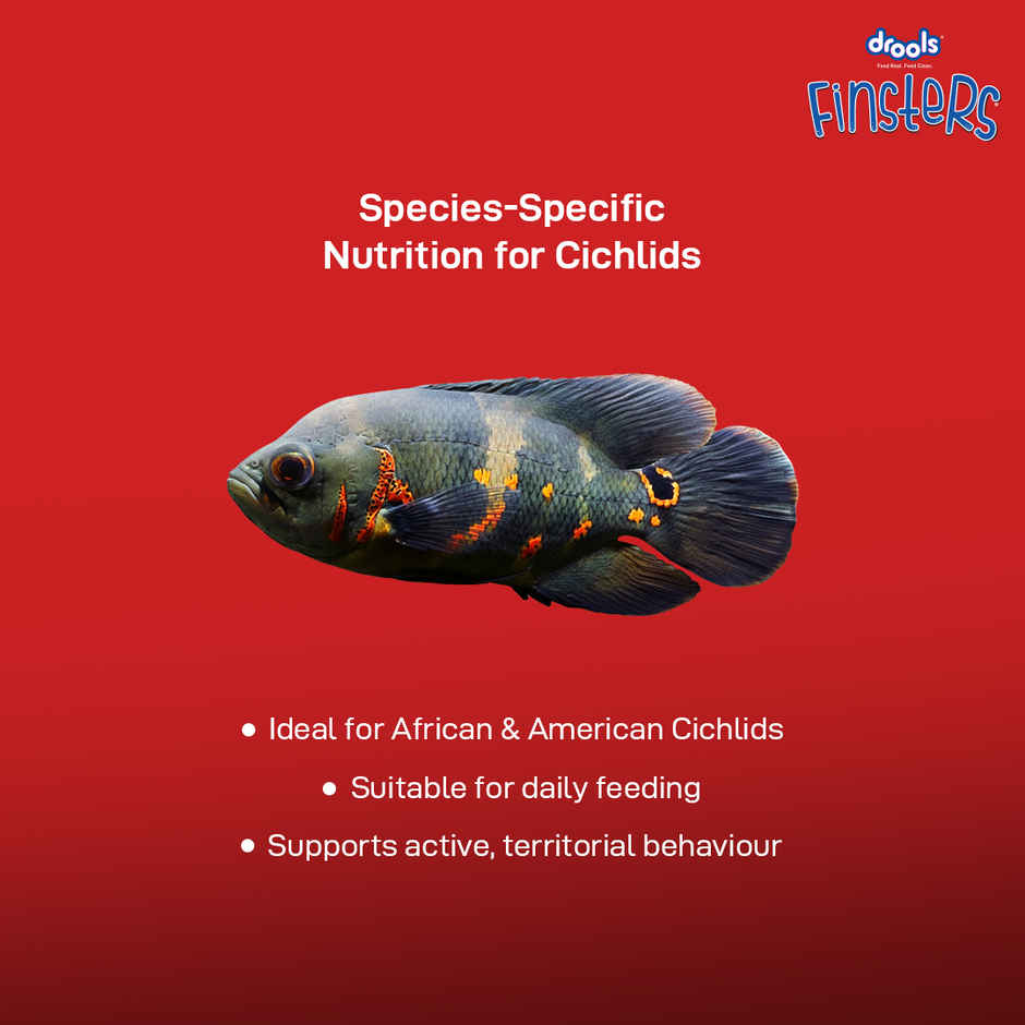 Drools Finsters Cichlid Fish Food