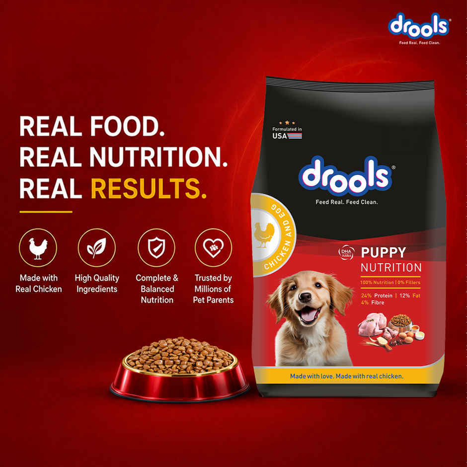 Drools Chicken and Egg Puppy Dry Dog Food, 1.2kg