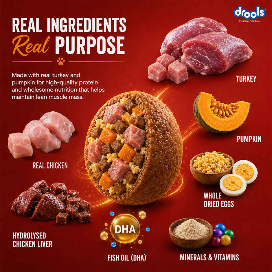 Drools Turkey and Pumpkin Adult Dry Dog Food 1 kg