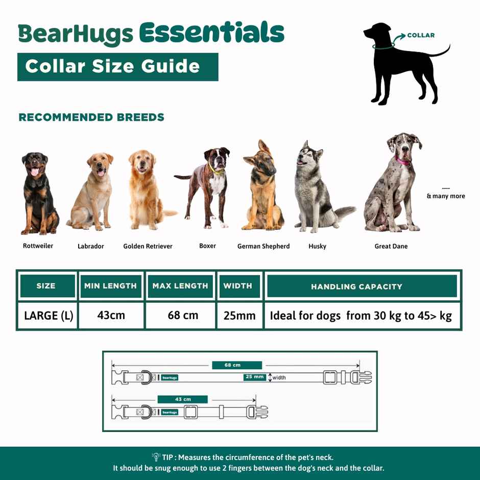 BearHugs Essential Collar | Padded with Lock - Large