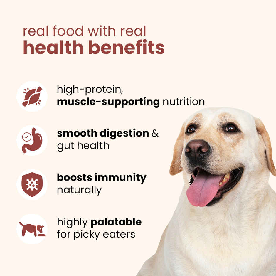 Nibblr By Nootie Fresh Chicken Pulao Wholesome Meal | Chicken Rice & Veggies Dog Wet Food 300gm