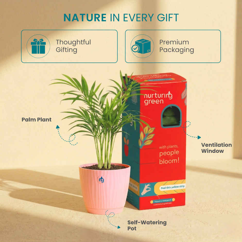 Nurturing Green Chamaedorea Palm Plant | Self-Watering Pot | 9.5 cm