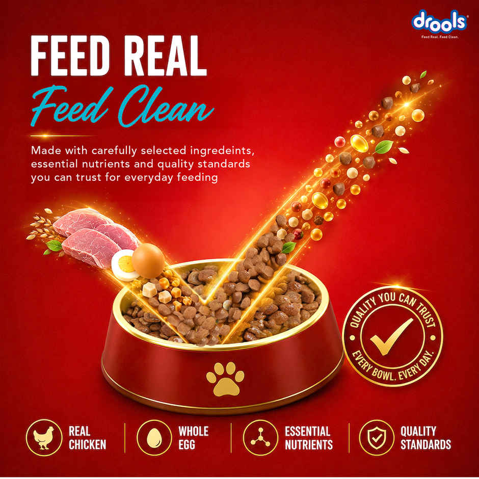 Drools Fish and Rice Adult Dry Dog Food 1 kg