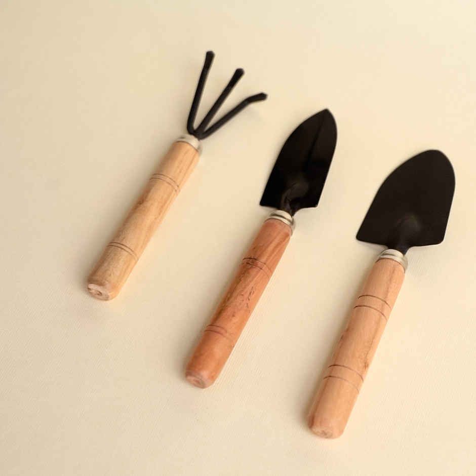 FNP Garden Lover Rakhi Gift Hamper