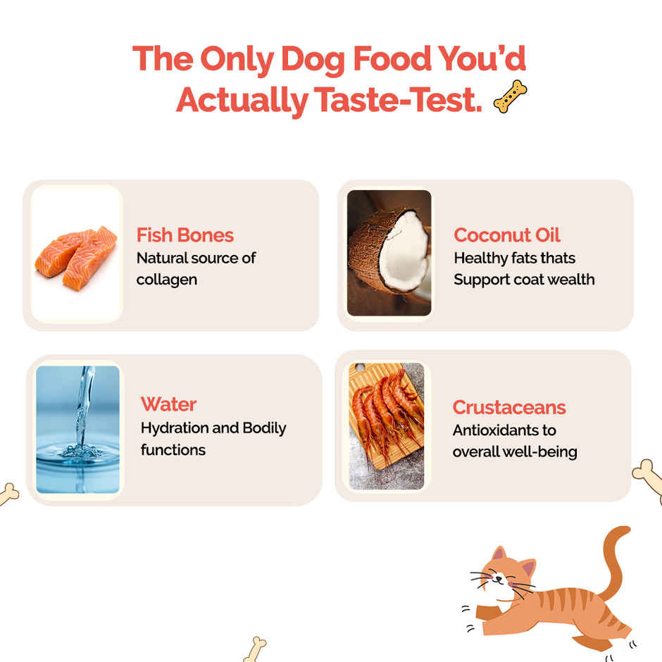 Goofy Tails Sea Food Bone Broth for Cats | Collagen Rich Cat and Kitten Food Topper