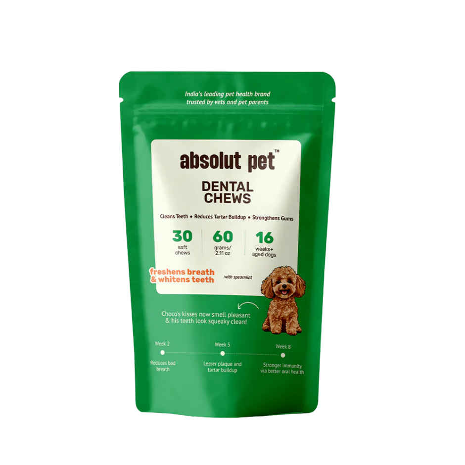 Absolut Pet Dog Supplement Oral Care Dental Chews Reduces Plaque Tartar Freshens Breath