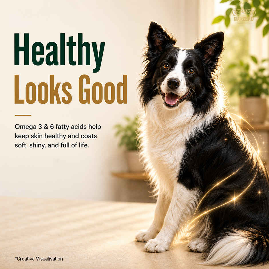 Signature Grain Zero Adult Dry Dog Food | Real Chicken, Eggs, and Vegetables