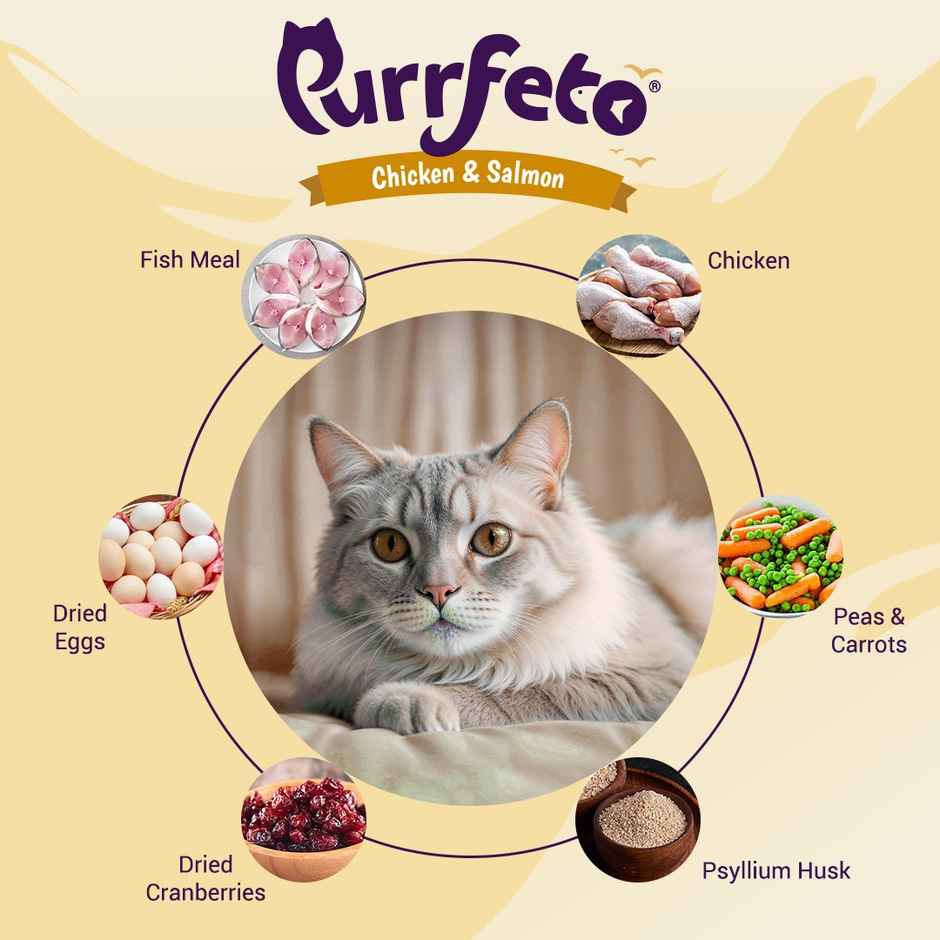 Purrfeto Dry Cat FOOD Chicken And Salmon | Adult FOOD