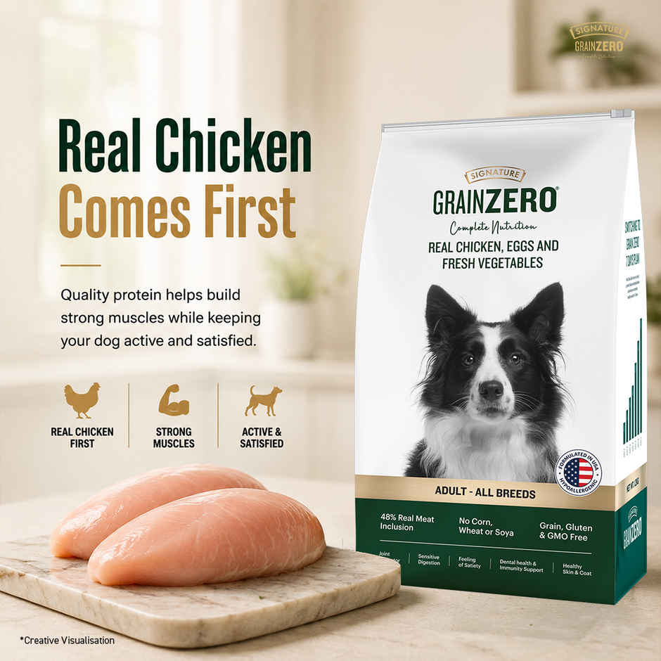 Signature Grain Zero Adult Dry Dog Food | Real Chicken, Eggs, and Vegetables