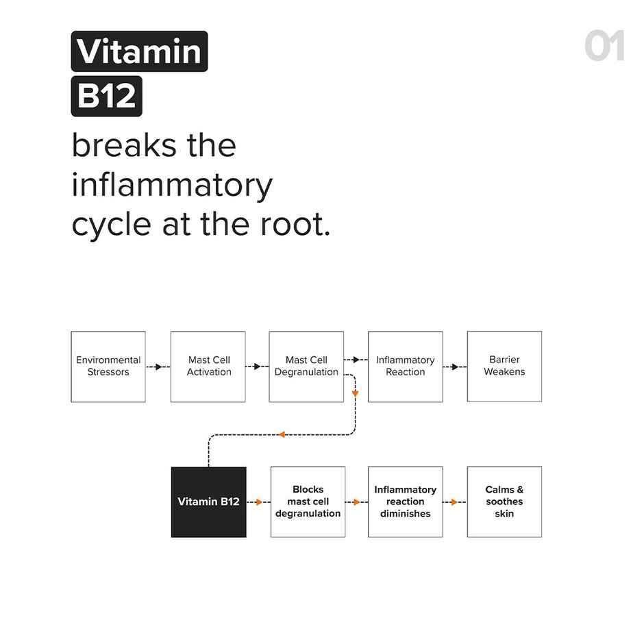Minimalist Vitamin B12 + Repair Complex 5.5% Face Moisturizer