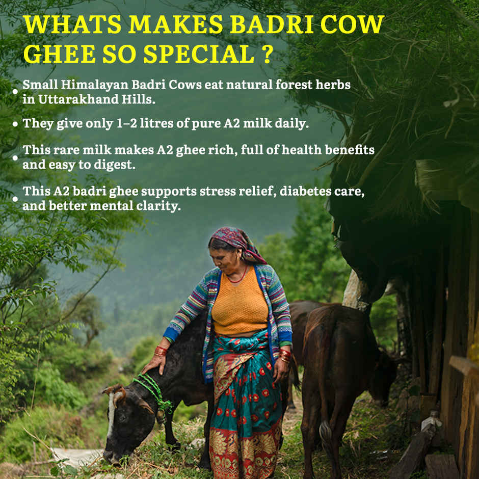 Sanjeevani Organics - Organic A2 Badri Cow Ghee