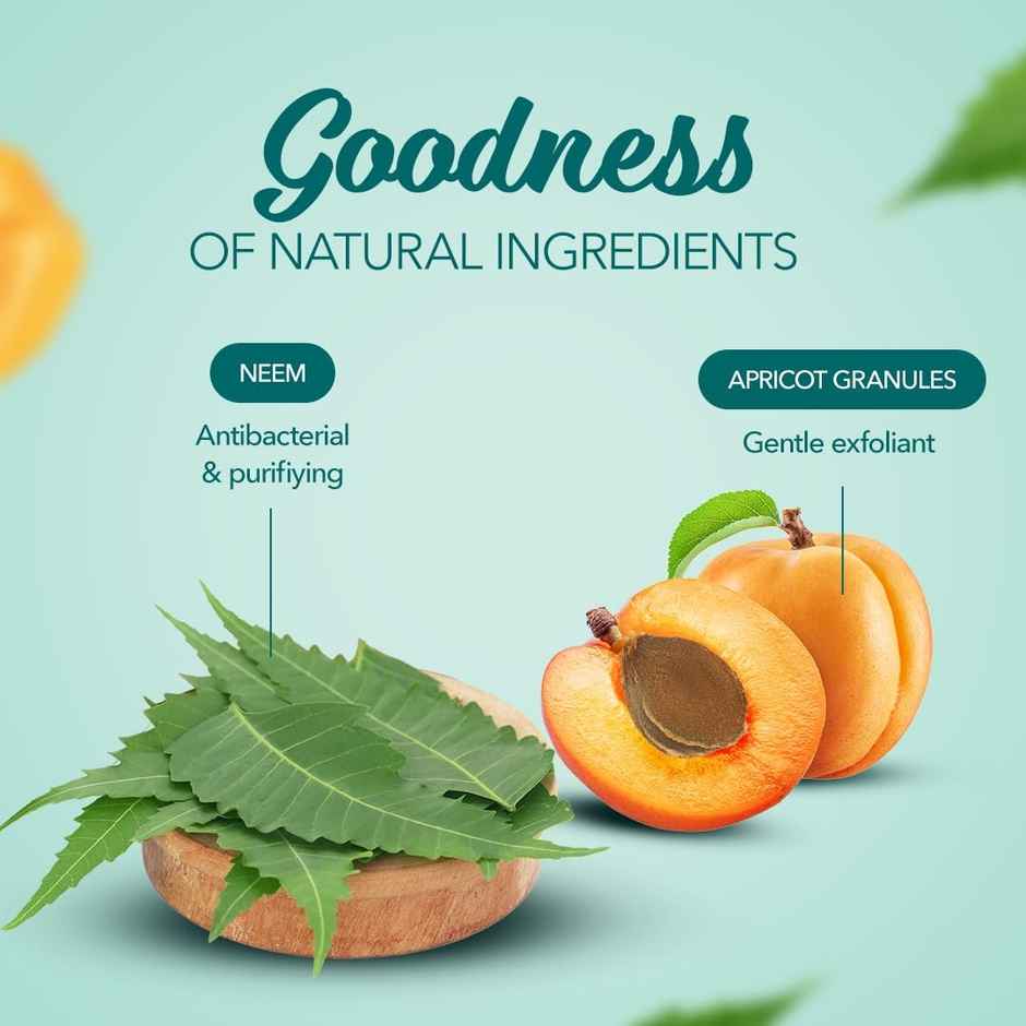 Himalaya Wellness Company Purifying Neem Face Scrub