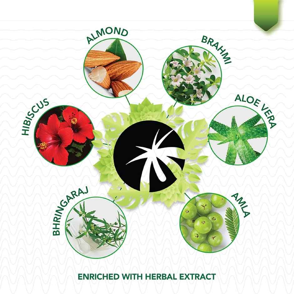 Paradyes Ammonia Free Semi-Permanent Hair Color Jar Only Ruby Wine