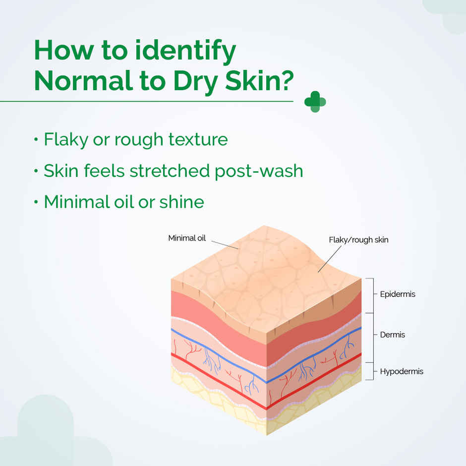 The Derma Co 5% Nia-Ceramide Daily Hydrating Moisturizer