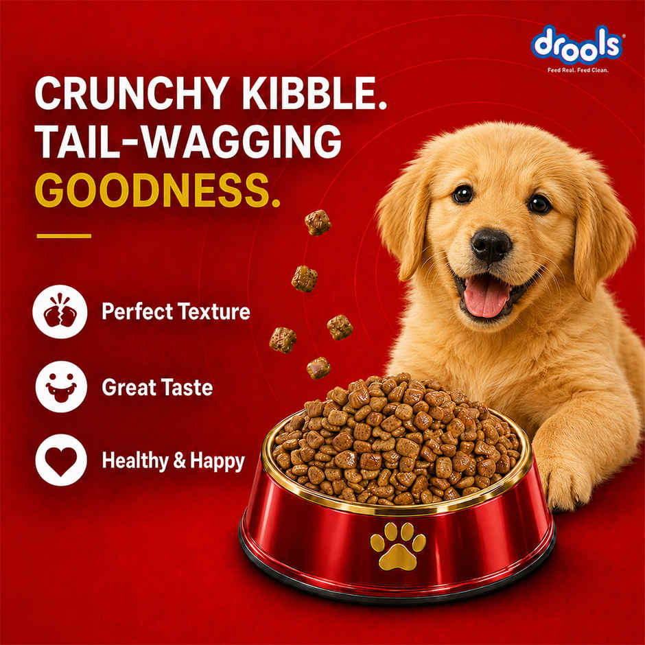 Drools Chicken and Egg Puppy Dry Dog Food, 1.2kg