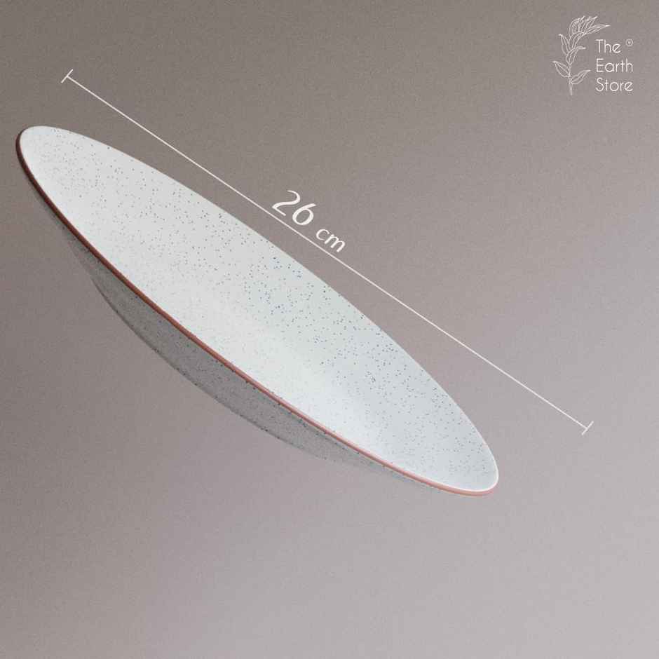 The Earth Store White Matte Ceramic 4Pc Dinner Set, 2 Dinner Plates & 2 Bowls Microwave Safe