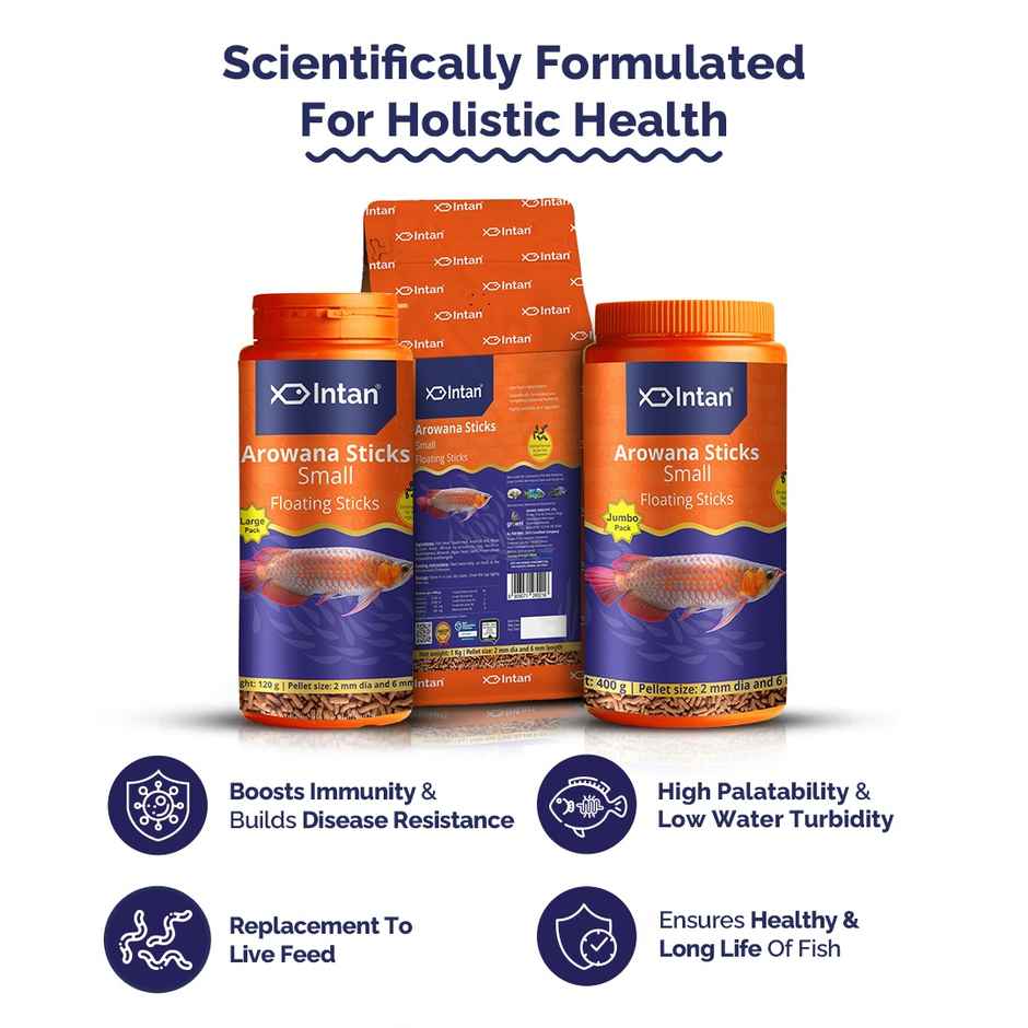 Intan Arowana Sticks Fish FOOD for Arowanas | Large Cichlids like Peacock Bass | Oscars - Small