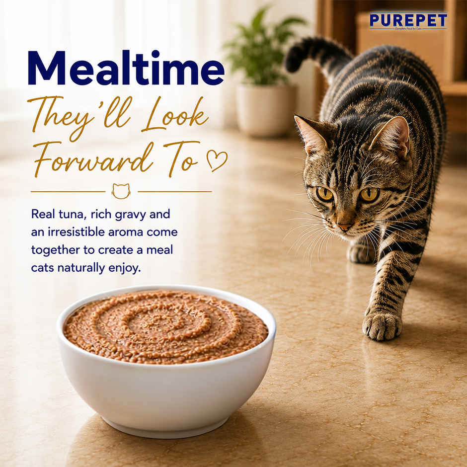 Purepet Real Chicken and Chicken Liver in Gravy,Wet cat food