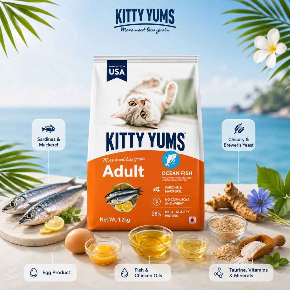 Kitty Yums Adult Cat Dry Food Ocean Fish