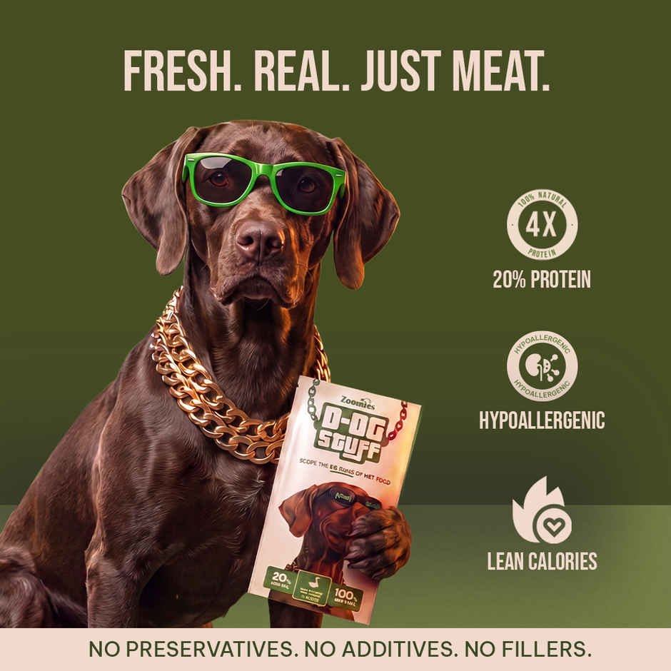 D-OG Stuff-Slowly Cooked Duck Breast Dog Food