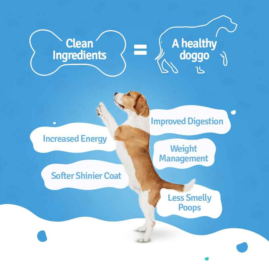 BLEP 100% Natural Dog Food | Chicken Pumpkin | 7 Packs | Zero Preservatives