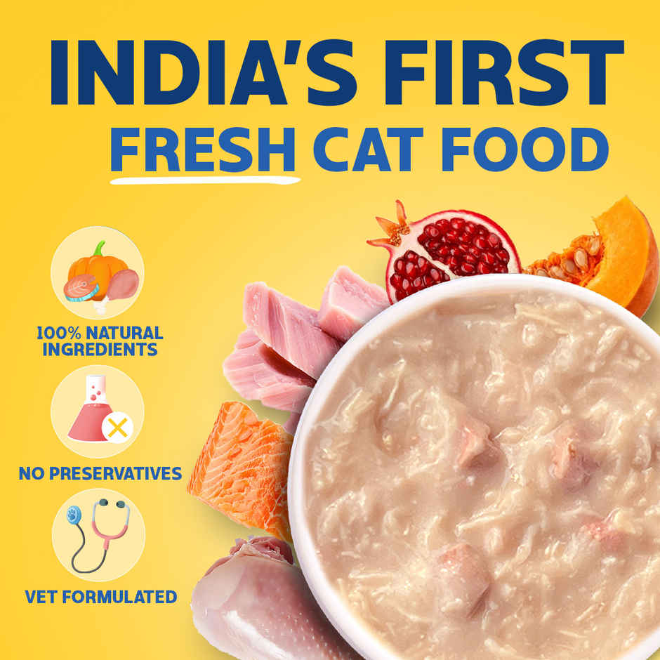 Smylo Adult Wet Cat Food Variety Combo | Chicken, Tuna & Mackerel, Fresh and Preservative Free