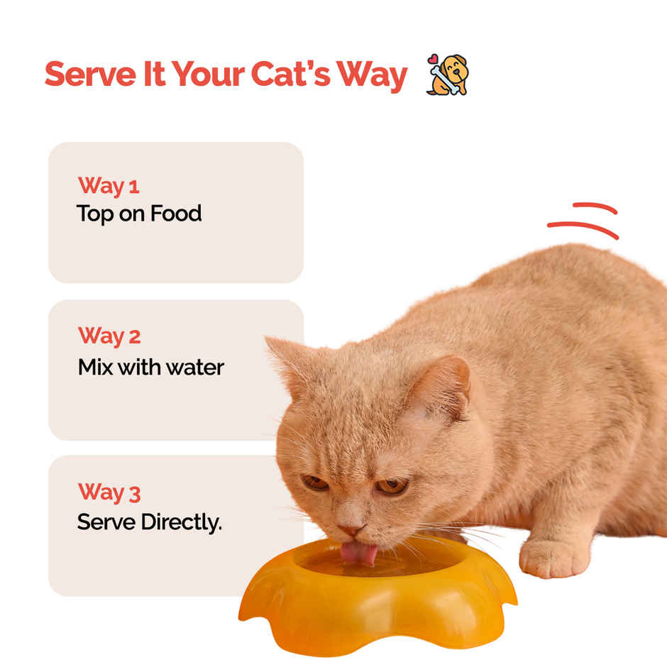 Goofy Tails Sea Food Bone Broth for Cats | Collagen Rich Cat and Kitten Food Topper