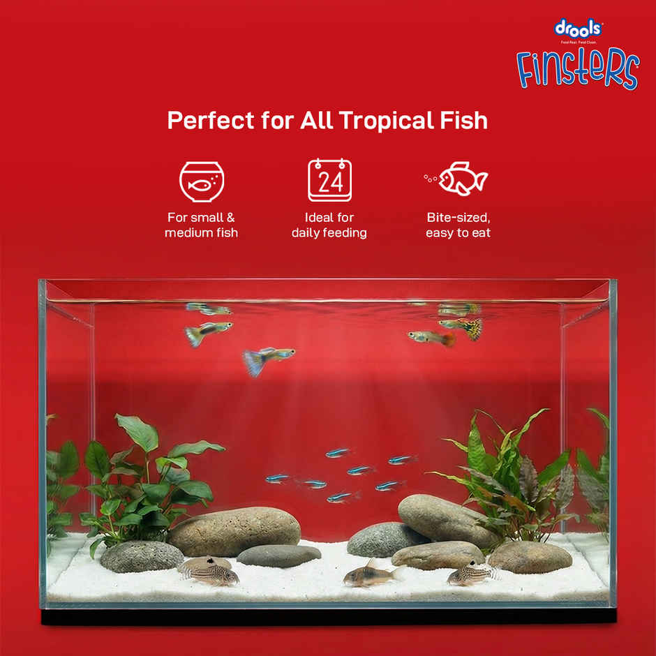 Drools Finsters Bits Fish Food