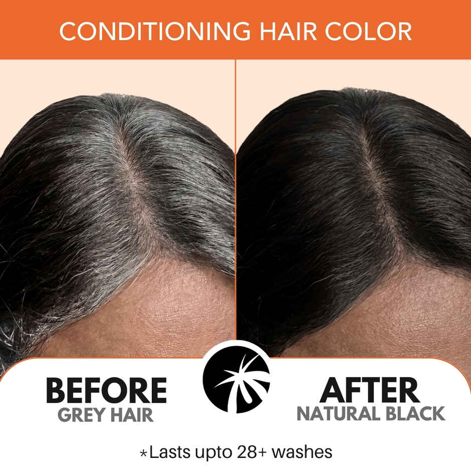 Paradyes Pure Creme Care No Ammonia Hair Color | Natural Black 1.0