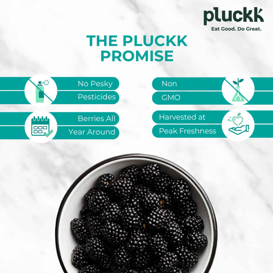Pluckk Fresh Frozen Blackberry Natural No Added Sugar Non GMO High Fiber Vitamin Rich Snack