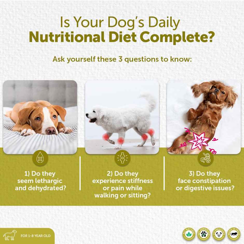 Costa D'Costa Nutrient-Infused Drink For Dogs | Age Group - 1 to 8 years