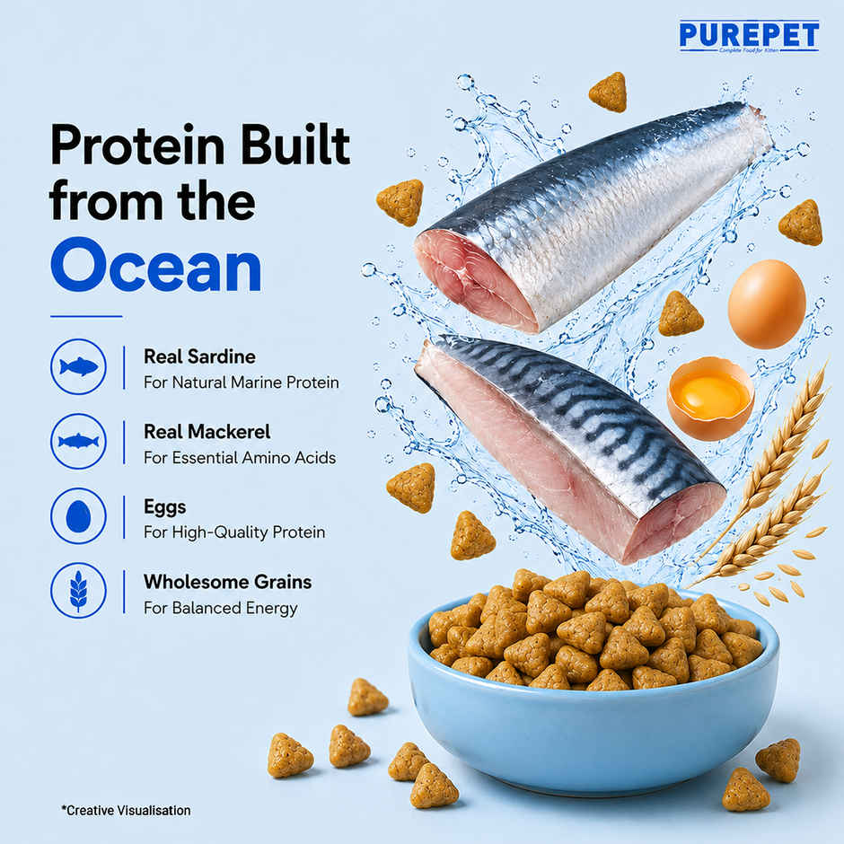 Purepet Ocean Fish Kitten Cat Food