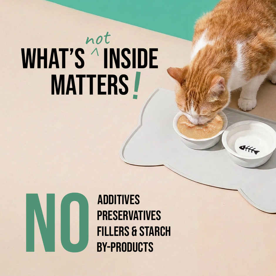 Zoomies Wet Stuff Lite - Chicken Breast in Bone Broth Cat Wet Food