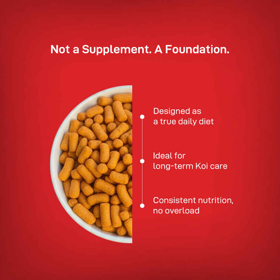 Drools Finsters Koi Fish Food Staple