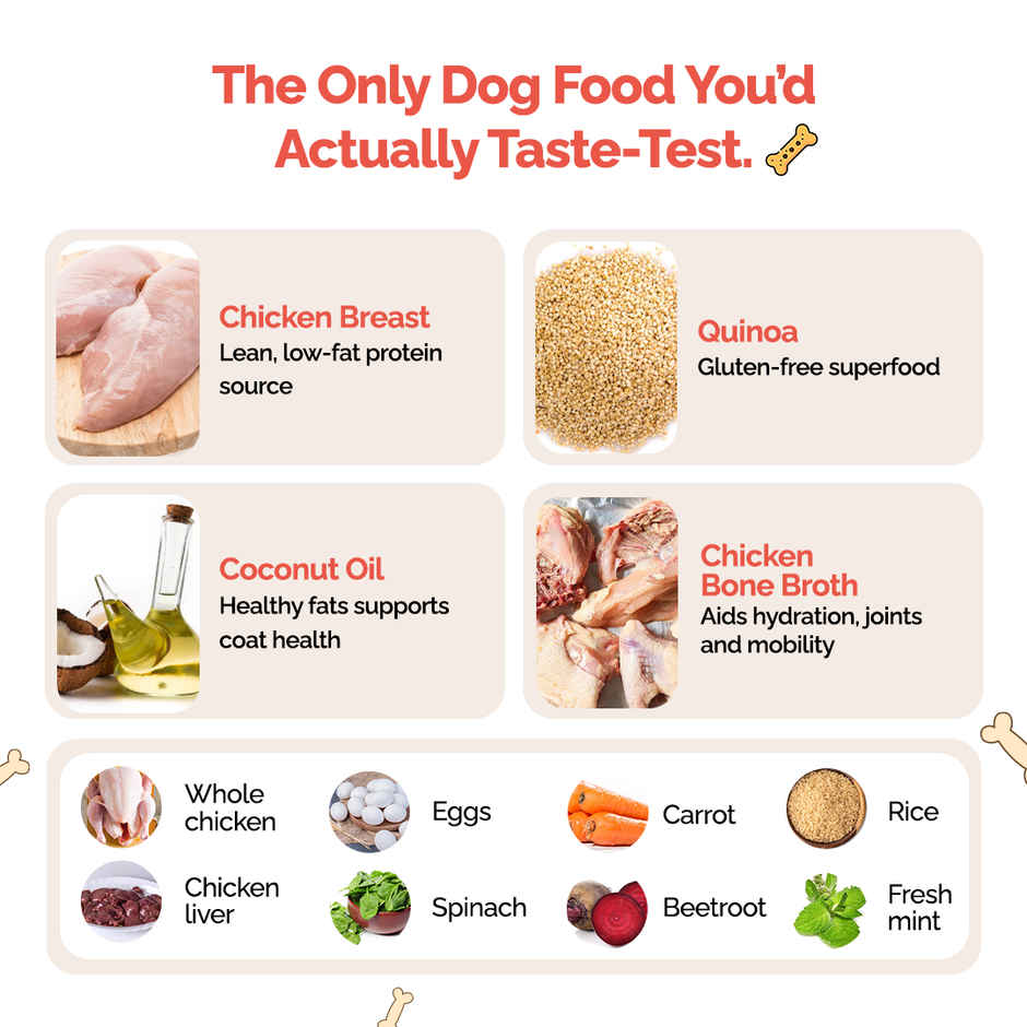 Goofy Tails Chicken & Quinoa Fresh Dog Food | Gluten Free | Wet Dog and Puppy Food