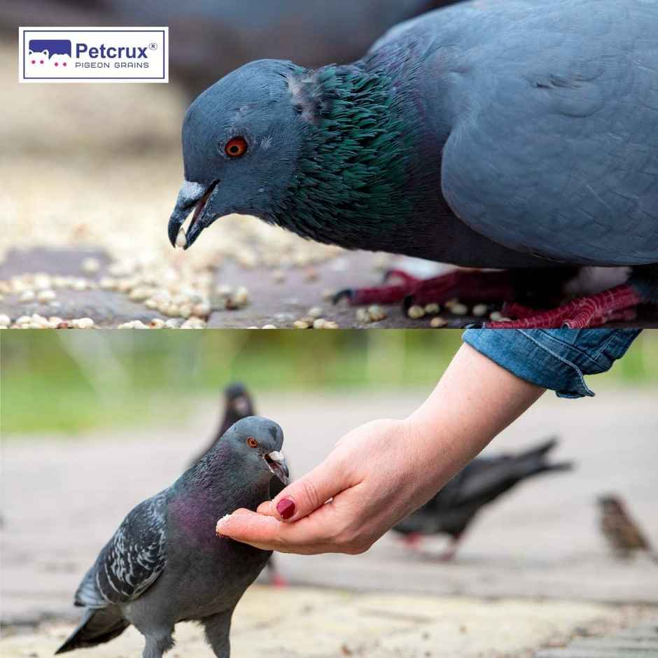 Petcrux Bajra Bird Food