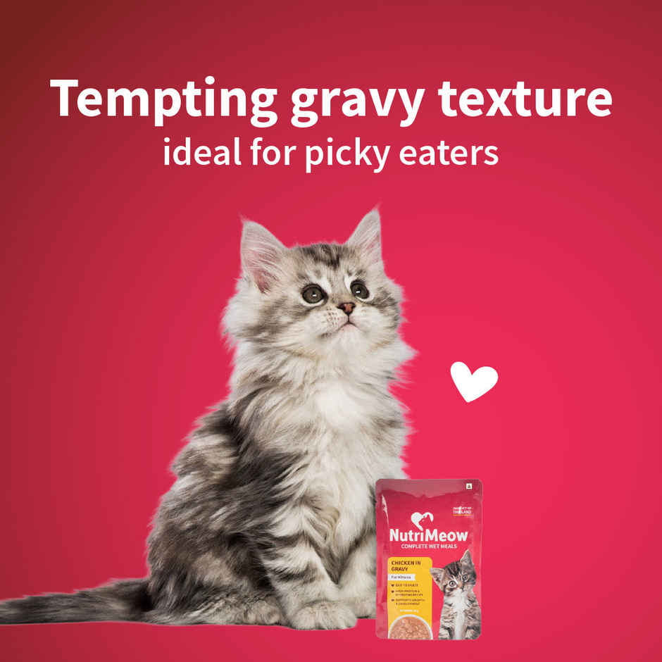 NutriMeow Chicken in Gravy Kitten Wet Food