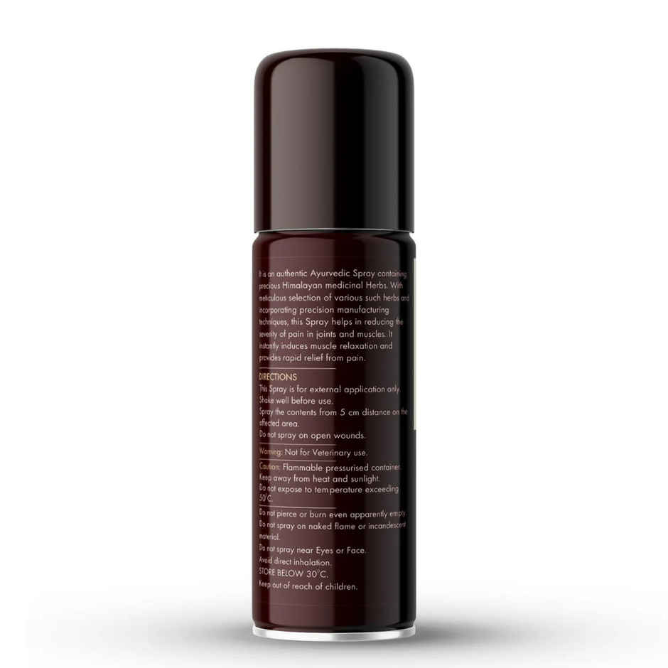 Go Ayurveda Dhanvantri Pain Relief Spray For Joint, Muscle & Back Pain|With Clove & Cinnamon