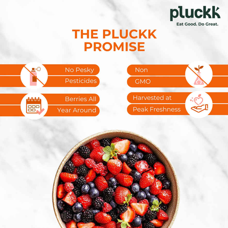 Pluckk Fresh Frozen Imported Blueberry Natural | Non Gmo | Rich In Antioxidants | Superfood Snack (200g) & Pluckk Fresh Frozen Imported Mixed Berries Natural | Non-Gmo | Rich In Antioxidants And Vitamin C (200g) Combo