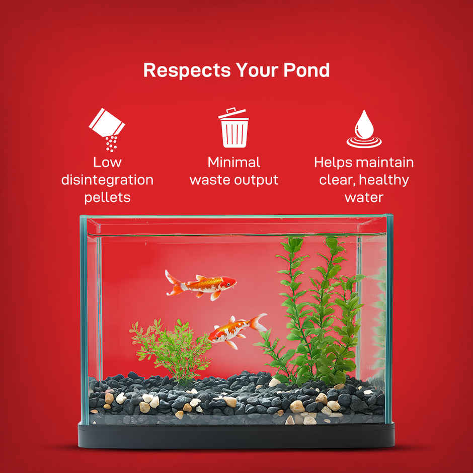 Drools Finsters Koi Fish Food Staple