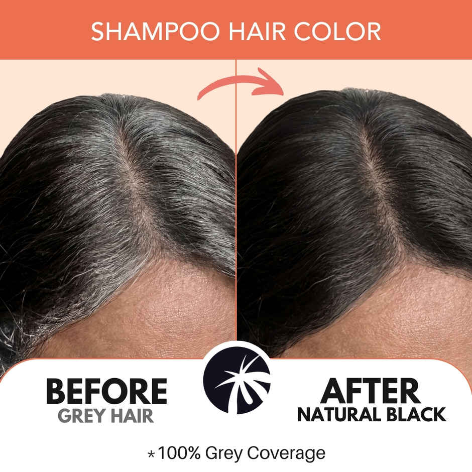 Paradyes Coconut Fix Shampoo No Ammonia Hair Color | Natural Black 1.0