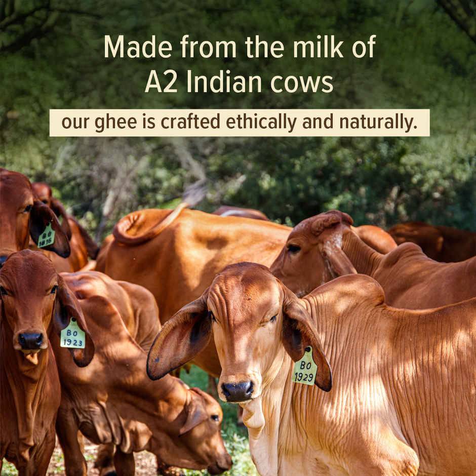 Conscious Food A2 Desi Cow Ghee | Preservative Free