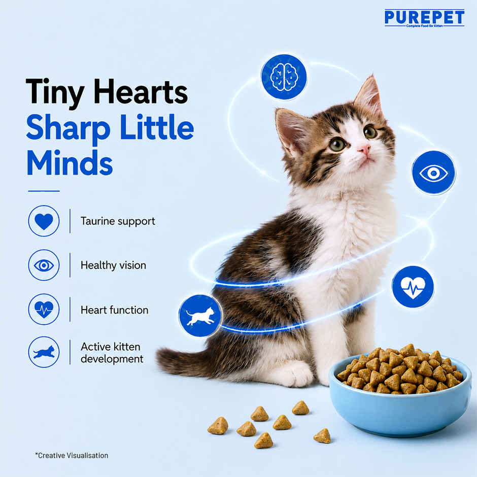 Purepet Ocean Fish Kitten Cat Food