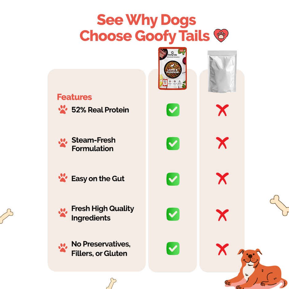 Goofy Tails Lamb & Pumpkin Fresh Dog Food | Gluten Free | Wet Dog and Puppy Food