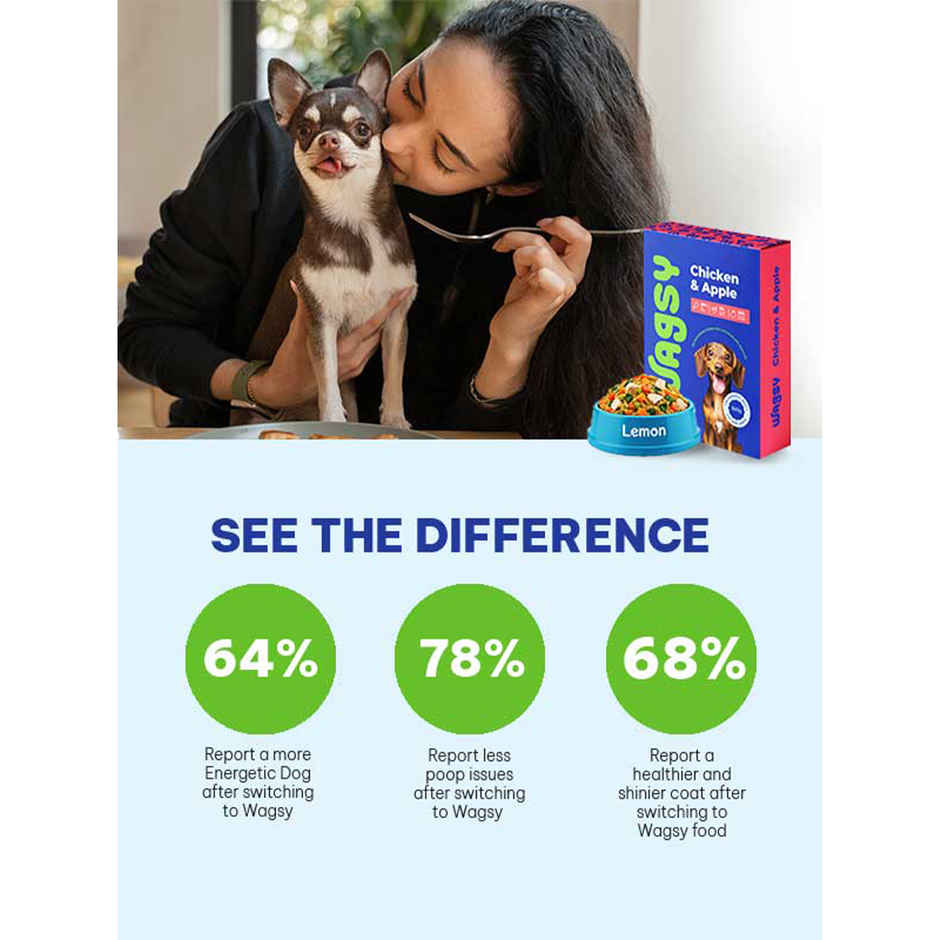 Wagsy - Chicken & Apple | Fresh Wet FOOD For Dogs